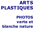 ARTS  PLASTIQUES  PHOTOS  verte et  blanche nature